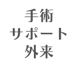 ドクターズファイル角丸2.png